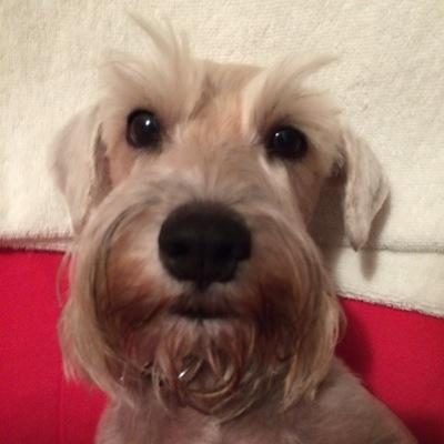 criverafer's profile picture. 