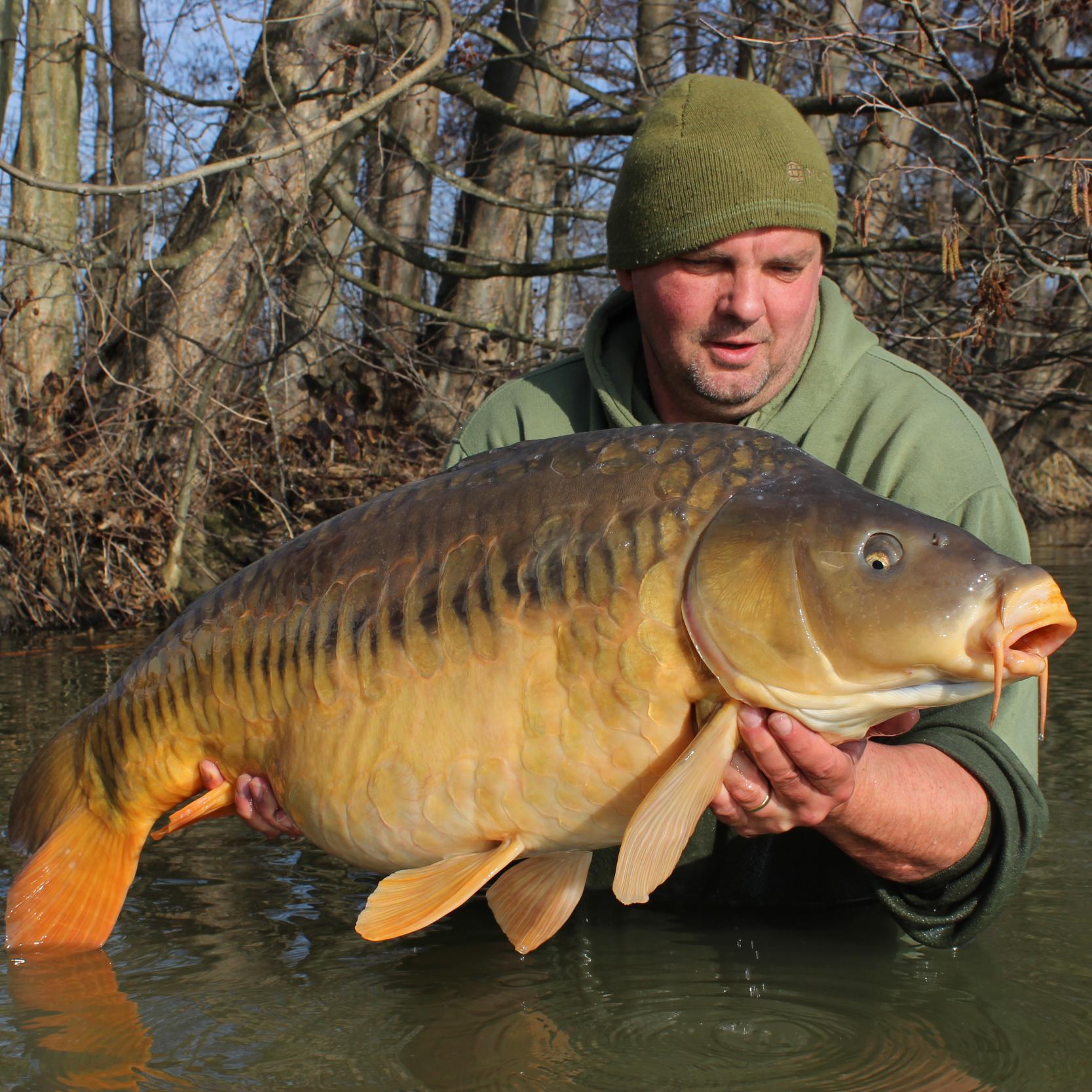 NickBurrage's profile picture. I live in Shropsire and have a passion for all things Carp!!