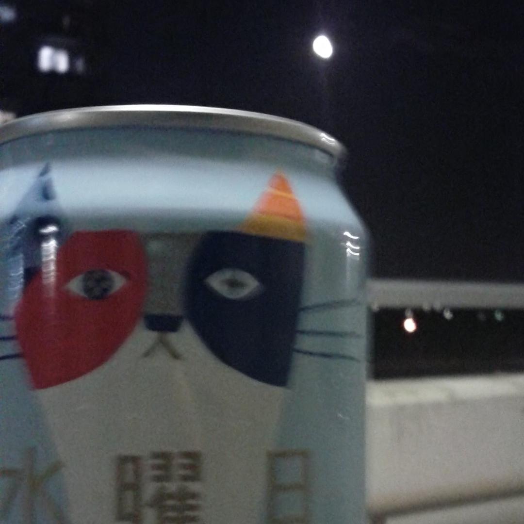 どこぞの理科好き。
新たな扉を開け続けていく楽しさと苦しさ。