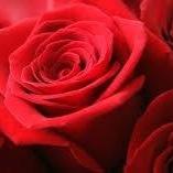 frannylove28's profile picture. 