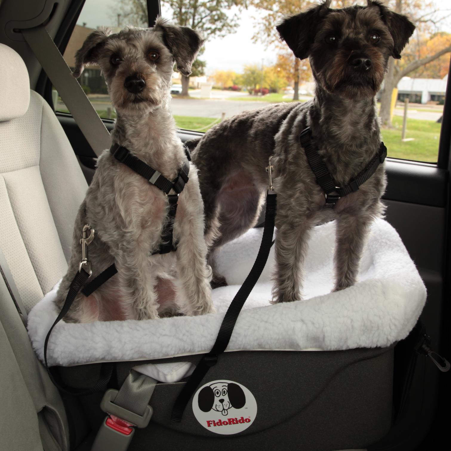 Fido Pet Products is where fun and safety meet. We cover everything from your marine life to traveling to just staying at home!