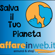 Affareinwebit's profile picture. Affareinweb.it
Fare affari non è mai stato così semplice
Vendi Compra nel massimo della sicurezza che possiamo offrirti.   Ti offriamo tutto ciò gratuitamente