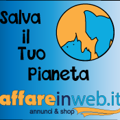 Affareinweb.it
Fare affari non è mai stato così semplice
Vendi Compra nel massimo della sicurezza che possiamo offrirti.   Ti offriamo tutto ciò gratuitamente