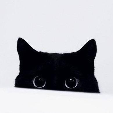 You can find me at https://t.co/tLtcM0cHQ4