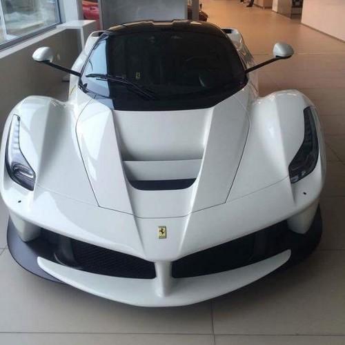 nikku1111's profile picture. 