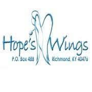 Hope's Wings DV Program is a non-profit organization dedicated to providing holistic approach to victims services and ending the cycle of violence.
