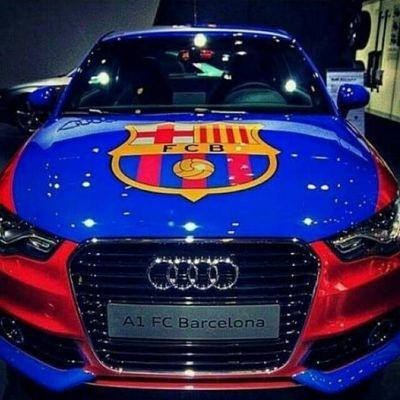 SanchezNune's profile picture. 