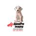 SpeedPro San Jose (@speedprosanjose) Twitter profile photo