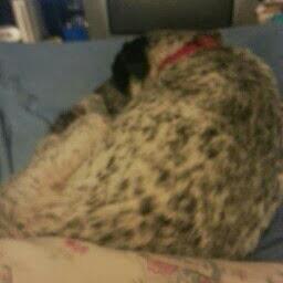 mrkdcsr41's profile picture. I will allways be me and you will allways be you. don't try to change me, and I will not try to change you.