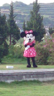 south07_k's profile picture. 大阪大谷高校→静岡大学農学部 バスケ チコ