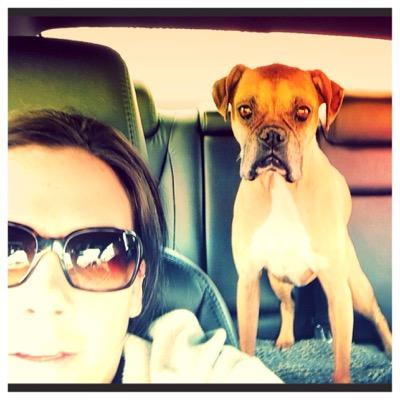 nmsamp's profile picture. 