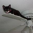 Lucy downs - @ksclucy - Twitter