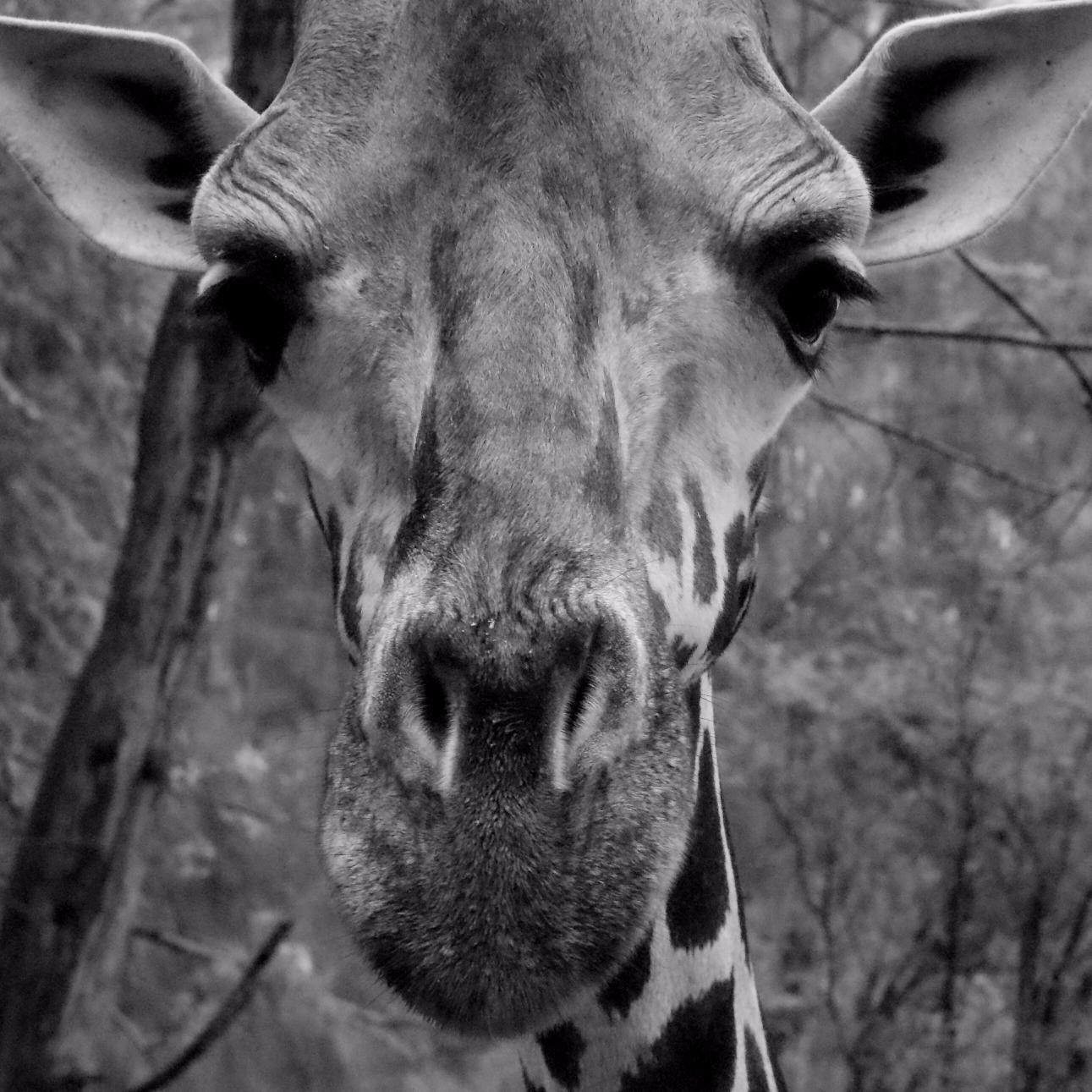 slezak_julia's profile picture. 