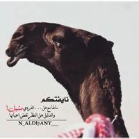 (ابن  ذاير)