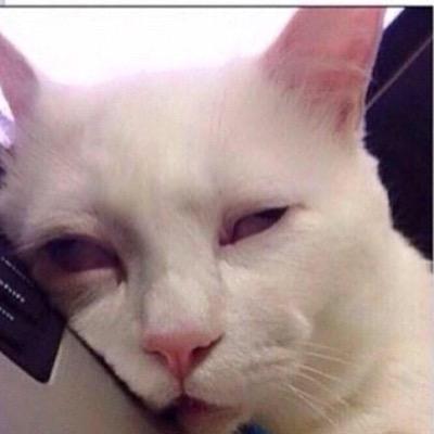 ECAFNAEL's profile picture. 