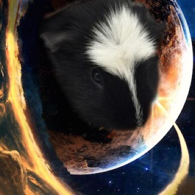 Just another day in my awesome life.
#WillyWorldWide