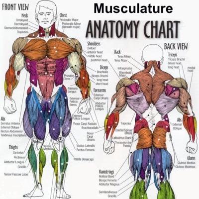 for all the gym junkies out there- tips, facts and motivation to help you be the best!