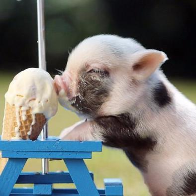 cesilva19791's profile picture. 