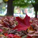 Anna Romagnoli - @9705cd7e93b4415 - Twitter