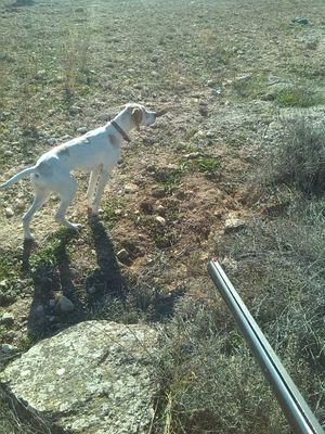JesusReyesvb's profile picture. amante del futbol sala...delegado del @fsfemenvillaca