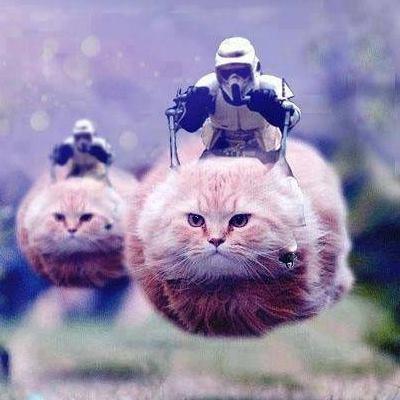 Goodluckboy72's profile picture. Laughing all the way to my grave.