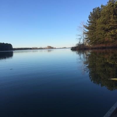 ryan_ables's profile picture. 