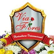 Via_Flores's profile picture. 