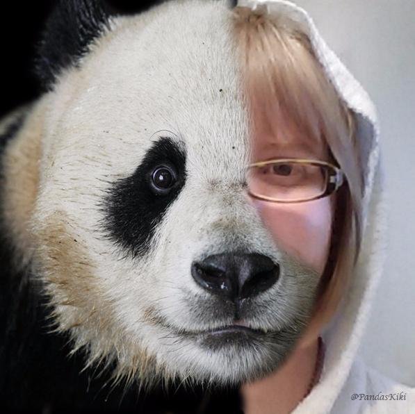 Gamer | @Twitch Affiliate | Writer | Bachelors in Web Design and Development | Married | I love pandas and corgis!