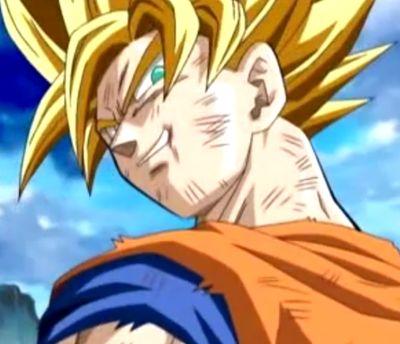 dragon ball z fan