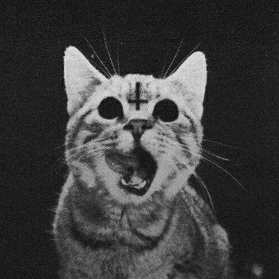 Clyderuter's profile picture. Все идет к одному