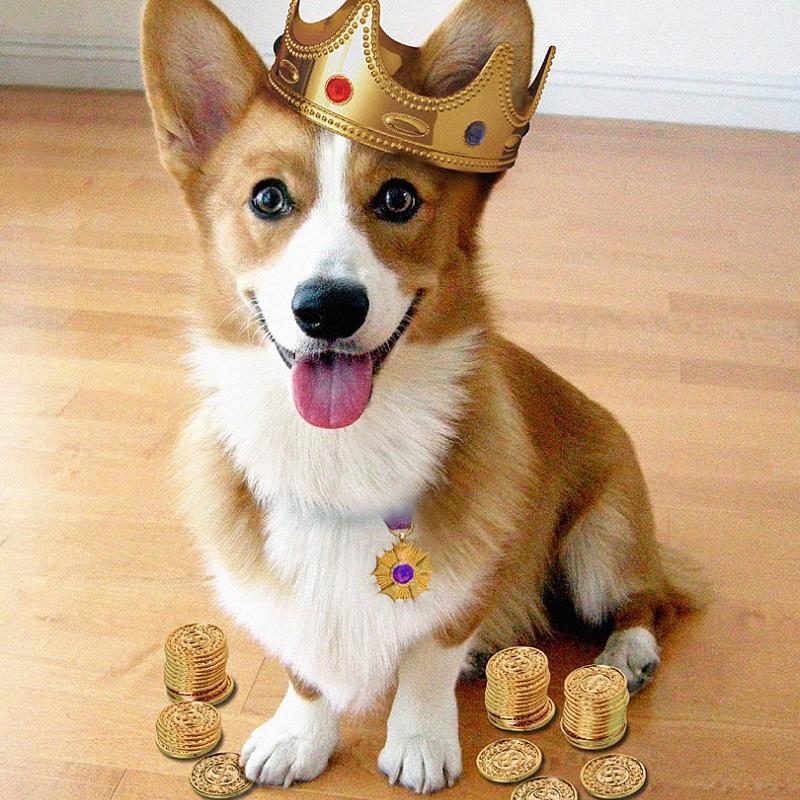 Appreciation for Corgis and their wittle feet every single day. Not a Corgi. I just play one on twitter. Pictures will be taken down upon request