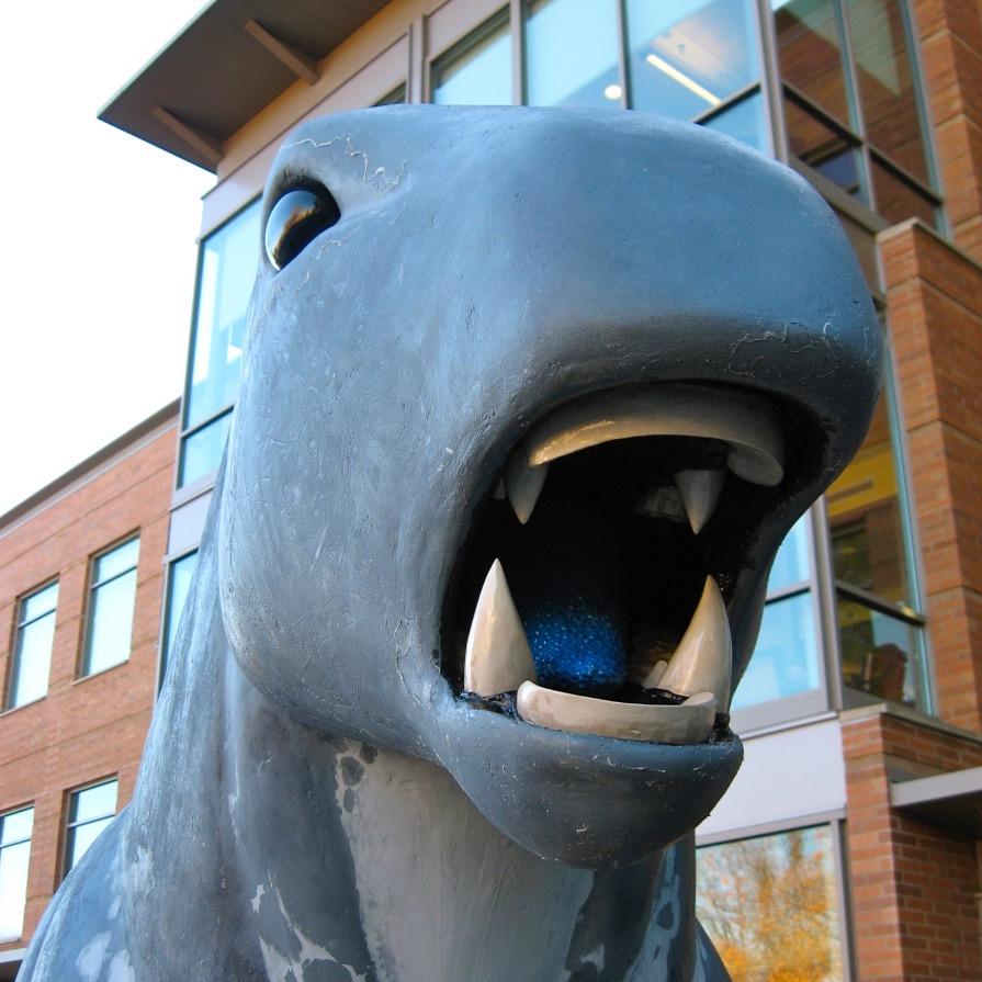 My name is Swampy. I am a Swamphorse. I love hanging out with students in Hannon Library at Southern Oregon University. Go Raiders!