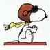 Neil 'Snoopy' Hall (@neil_hall) Twitter profile photo