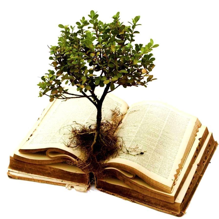 “Aqui está a perseverança dos santos, os que guardam os mandamentos de Deus e a fé de Jesus”. (Apocalipse 14:12)