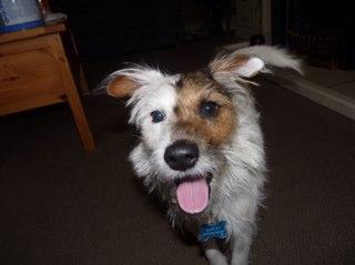 SarnieD71's profile picture. 