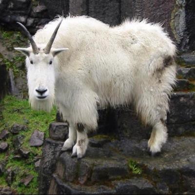 john_greves's profile picture. 