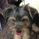 ron preston - @myairwave - Twitter