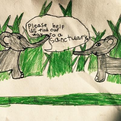kids4elephants's profile picture. Children Advocating for Elephants through art and words. Transforming love for elephants into creative action. Learn, Act, Protect, Conserve, Help.