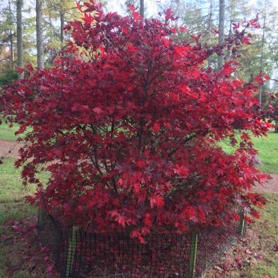 robertsdacid23's profile picture. Private Sector Housing Surveyor