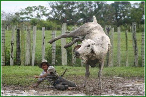 Miguelprimera_3's profile picture. 