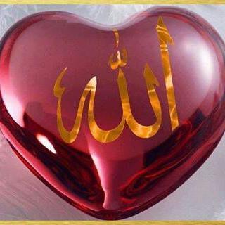 ayon_alhaq's profile picture. 