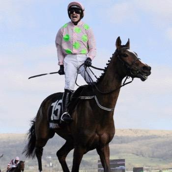 Horse Racing tipping service working to give our members good priced winners and consitent profit! Contact us via our email service BetOnTheRaces@outlook.com