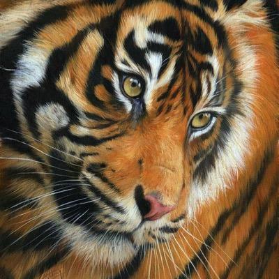 tnsims's profile picture. 