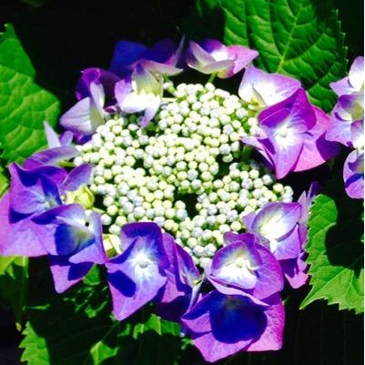 🩷一色洋平さん、小林亮太さん、小林唯さん、田代万里生さん、井上芳雄さん 、上川一哉さん、成河さん、227(広田圭美さん&山下由紀子さん)