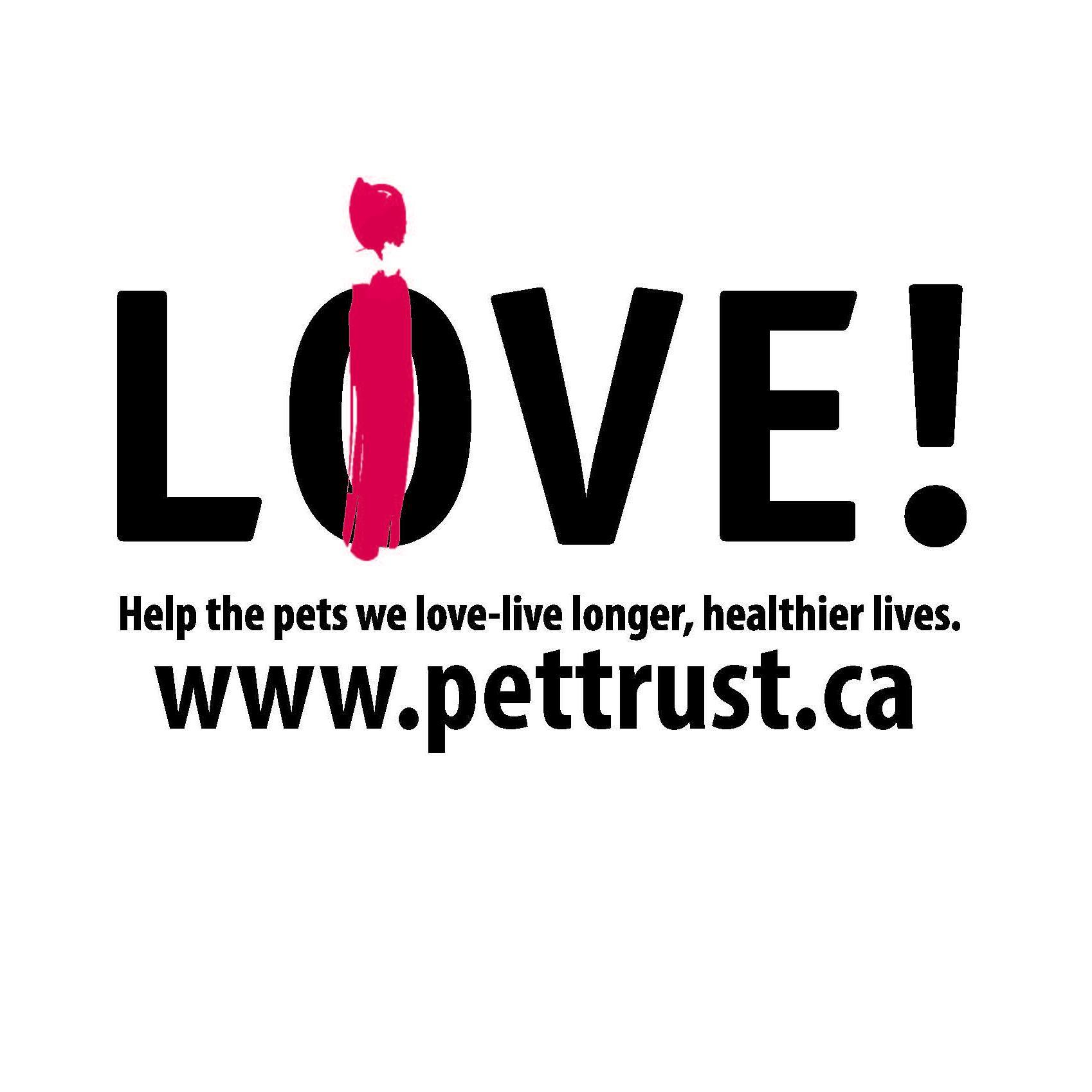 cardsforcanines's profile picture. Charity event in Guelph, ON on April 3rd for OVC Pet Trust. Come play cards and boardgames with friends and family! Reserve tickets at cards4canines@gmail.com