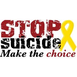 stopsuicidenow4's profile picture. Make your donation and change some lives. http://t.co/oMKqbrlRJl