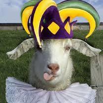 MJPicozzi's profile picture. 