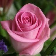 lovelyxessence's profile picture. From fashion to home design and decor lovelyxessence@gmail.com