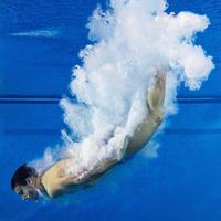 Camo plongeon (@plongeoncamo) 's Twitter Profile