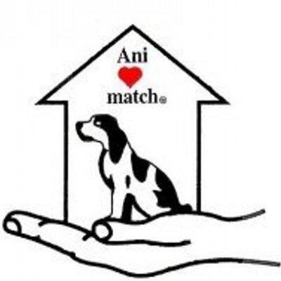 Animatch dog adoption is a non-profit organization founded in 1999.